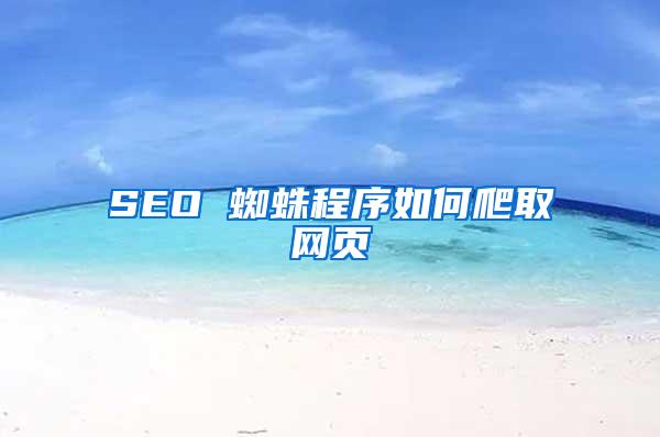 SEO 蜘蛛程序如何爬取网页