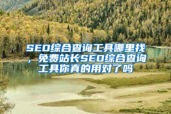 SEO综合查询工具哪里找，免费站长SEO综合查询工具你真的用对了吗