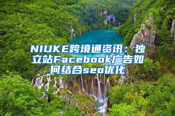 NIUKE跨境通资讯：独立站Facebook广告如何结合seo优化