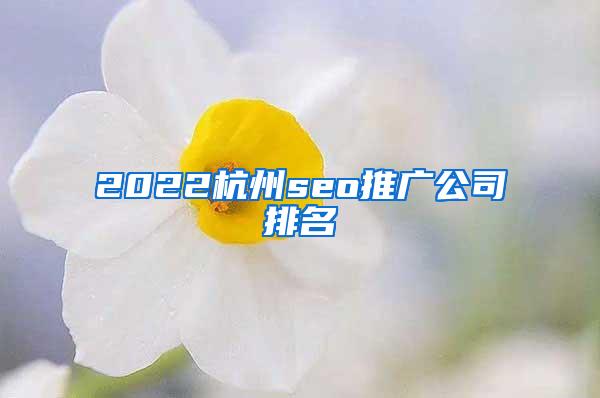 2022杭州seo推广公司排名