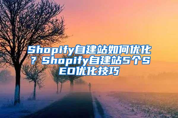 Shopify自建站如何优化？Shopify自建站5个SEO优化技巧