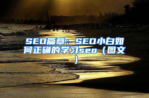 SEO篇章：SEO小白如何正确的学习seo（图文）