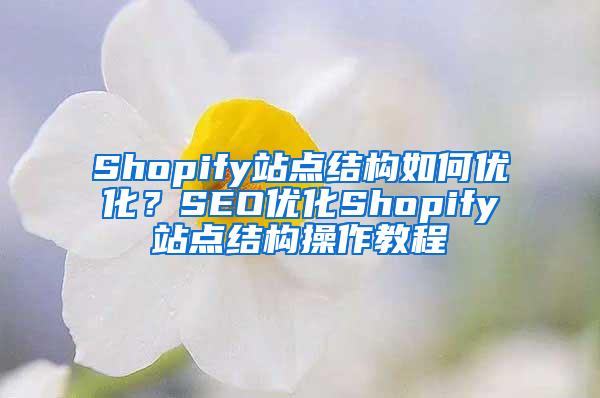 Shopify站点结构如何优化？SEO优化Shopify站点结构操作教程