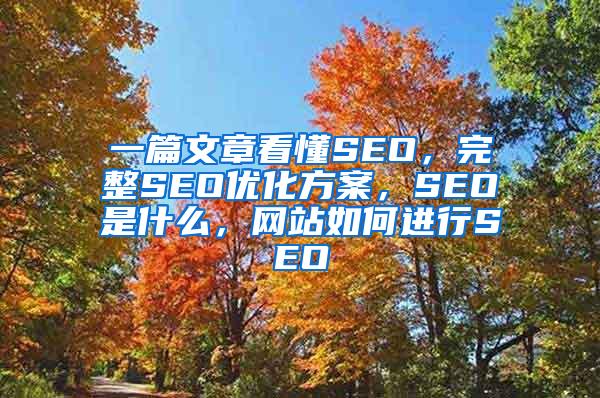 一篇文章看懂SEO，完整SEO优化方案，SEO是什么，网站如何进行SEO