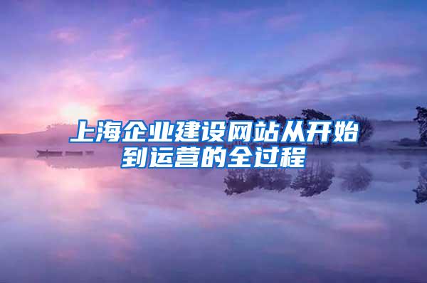 上海企业建设网站从开始到运营的全过程