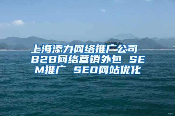上海添力网络推广公司 B2B网络营销外包 SEM推广 SEO网站优化