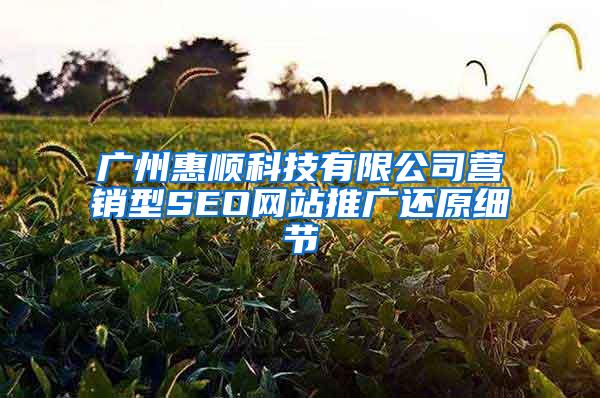 广州惠顺科技有限公司营销型SEO网站推广还原细节