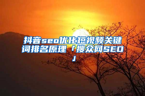 抖音seo优化短视频关键词排名原理「搜众网SEO」