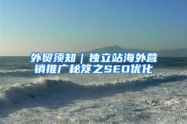 外贸须知｜独立站海外营销推广秘笈之SEO优化