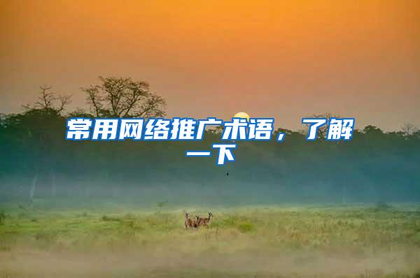 常用网络推广术语，了解一下