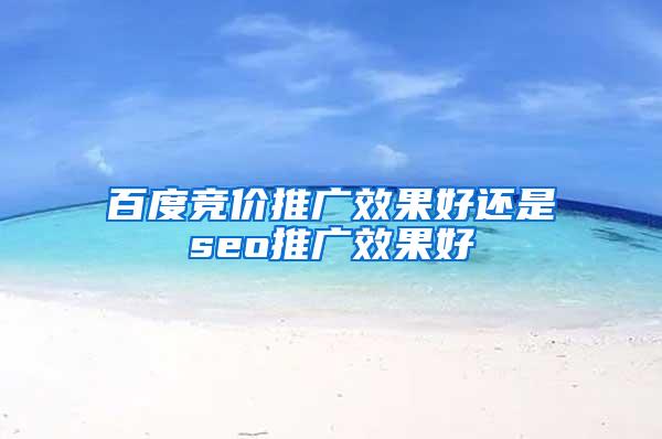 百度竞价推广效果好还是seo推广效果好