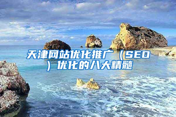 天津网站优化推广（SEO）优化的八大精髓