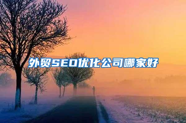 外贸SEO优化公司哪家好