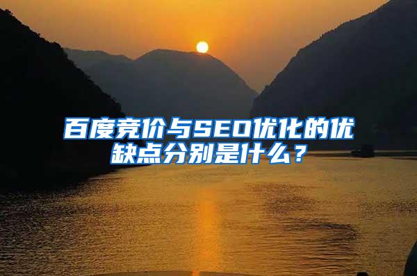 百度竞价与SEO优化的优缺点分别是什么？