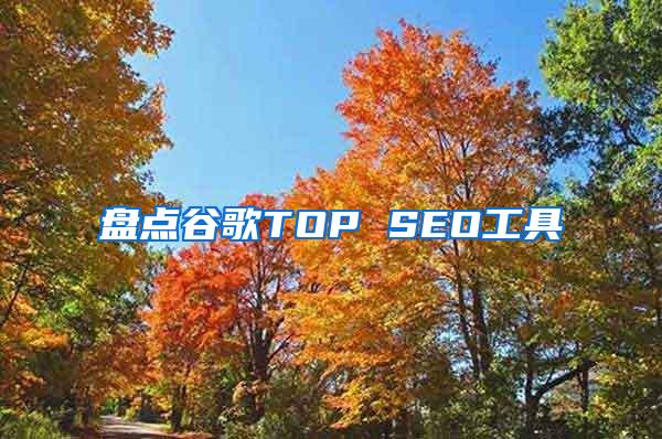 盘点谷歌TOP SEO工具