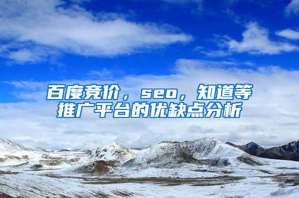 百度竞价，seo，知道等推广平台的优缺点分析