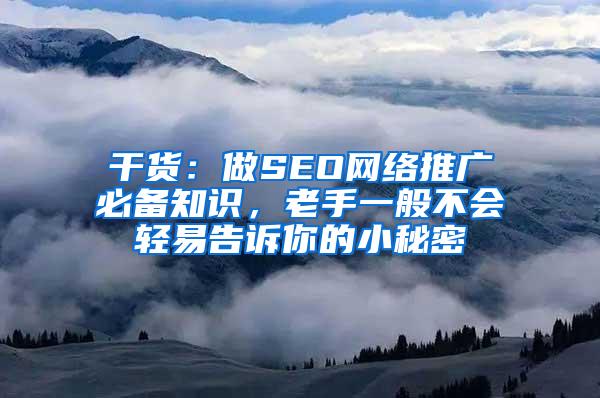 干货：做SEO网络推广必备知识，老手一般不会轻易告诉你的小秘密