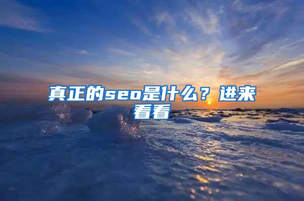 真正的seo是什么？进来看看