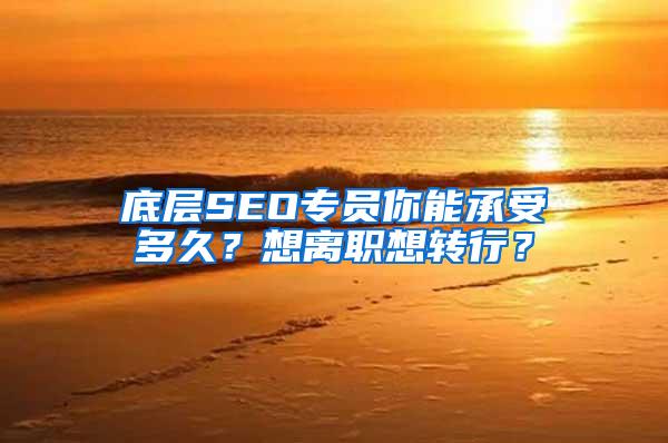 底层SEO专员你能承受多久？想离职想转行？