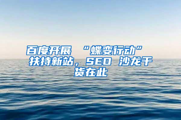 百度开展 “蝶变行动” 扶持新站，SEO 沙龙干货在此