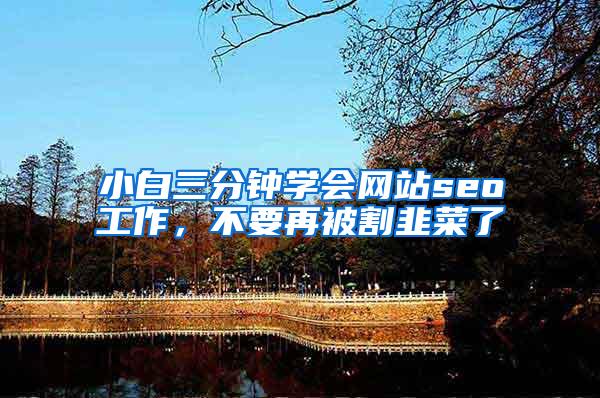 小白三分钟学会网站seo工作，不要再被割韭菜了