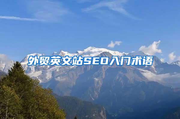 外贸英文站SEO入门术语