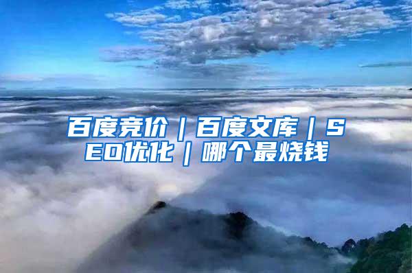 百度竞价｜百度文库｜SEO优化｜哪个最烧钱