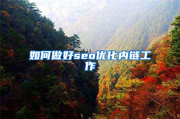 如何做好seo优化内链工作