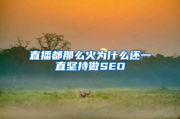 直播都那么火为什么还一直坚持做SEO