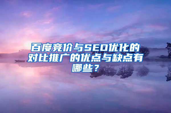 百度竞价与SEO优化的对比推广的优点与缺点有哪些？