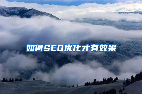 如何SEO优化才有效果