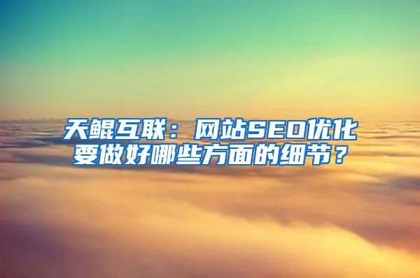 天鲲互联：网站SEO优化要做好哪些方面的细节？