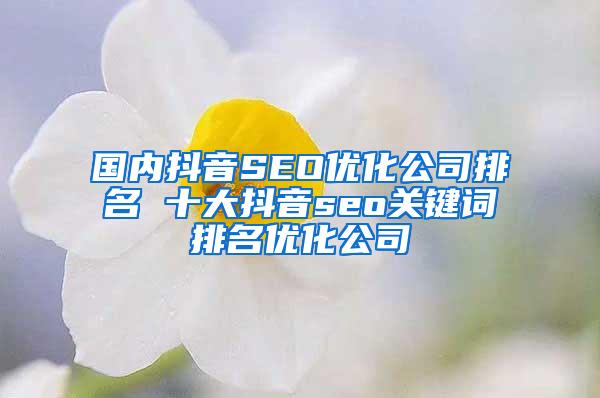 国内抖音SEO优化公司排名 十大抖音seo关键词排名优化公司