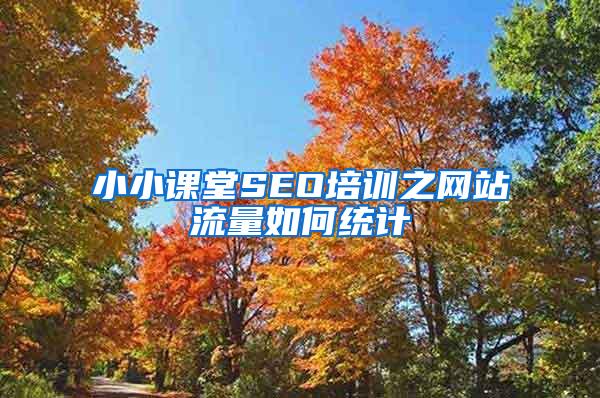 小小课堂SEO培训之网站流量如何统计