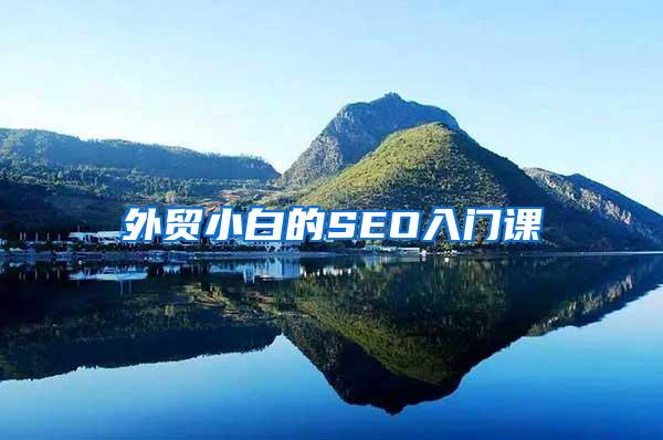 外贸小白的SEO入门课