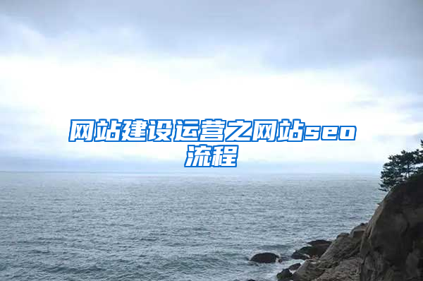 网站建设运营之网站seo流程