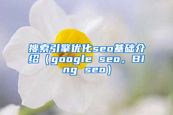 搜索引擎优化seo基础介绍（google seo，Bing seo）