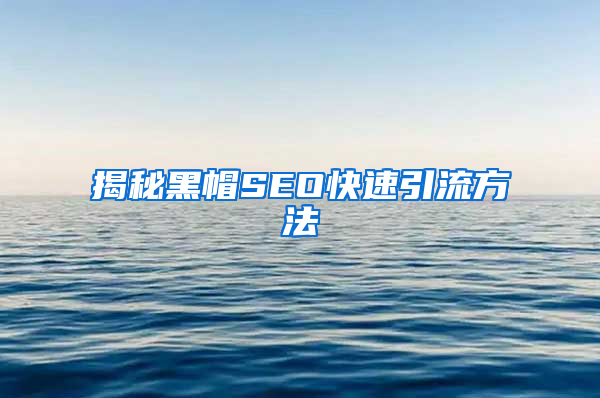 揭秘黑帽SEO快速引流方法