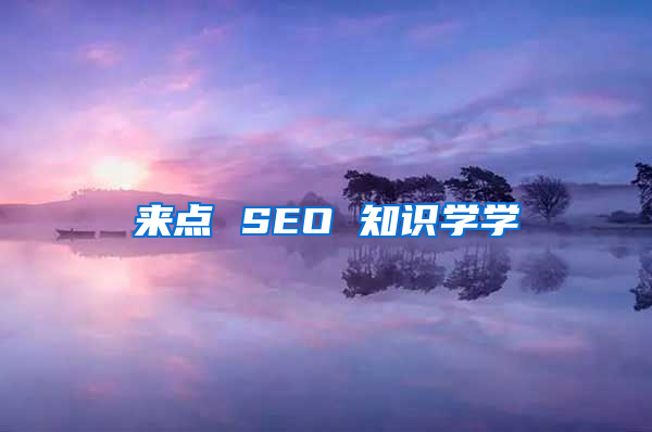 来点 SEO 知识学学