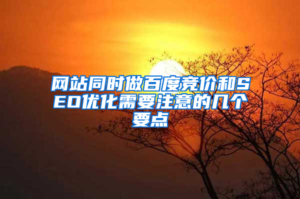 网站同时做百度竞价和SEO优化需要注意的几个要点