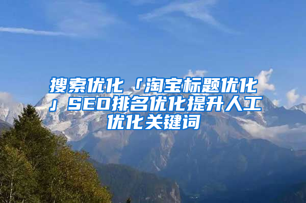 搜索优化「淘宝标题优化」SEO排名优化提升人工优化关键词