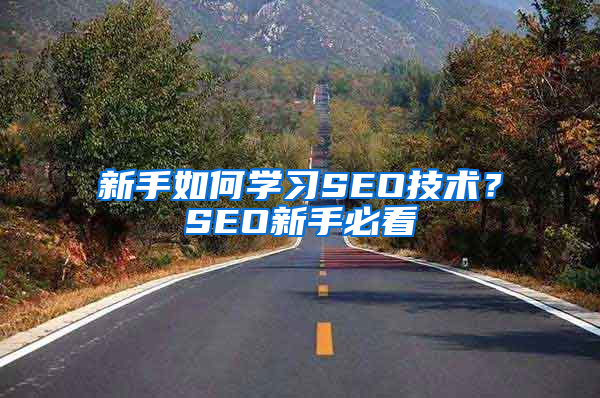 新手如何学习SEO技术？SEO新手必看