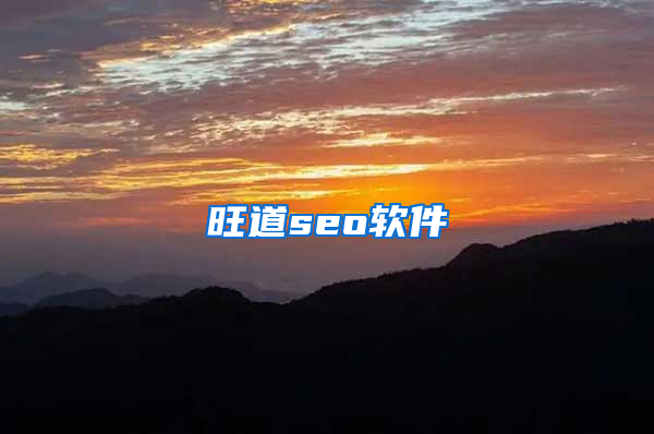 旺道seo软件