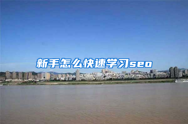 新手怎么快速学习seo