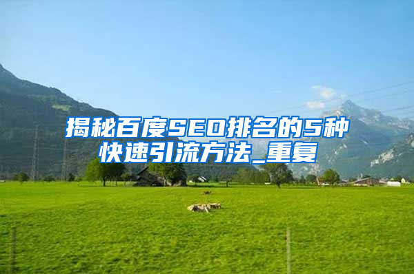 揭秘百度SEO排名的5种快速引流方法_重复