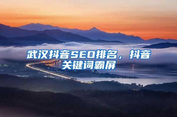 武汉抖音SEO排名，抖音关键词霸屏