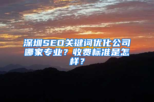 深圳SEO关键词优化公司哪家专业？收费标准是怎样？