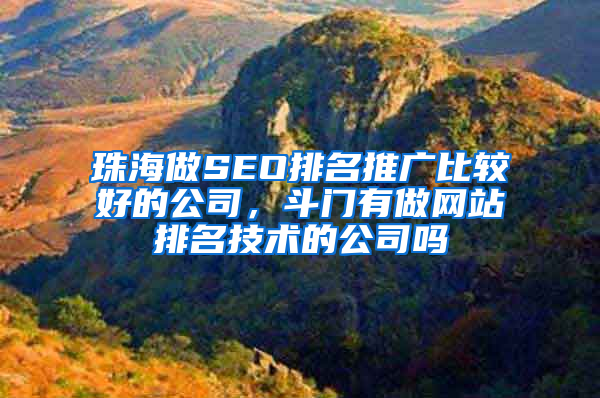 珠海做SEO排名推广比较好的公司，斗门有做网站排名技术的公司吗