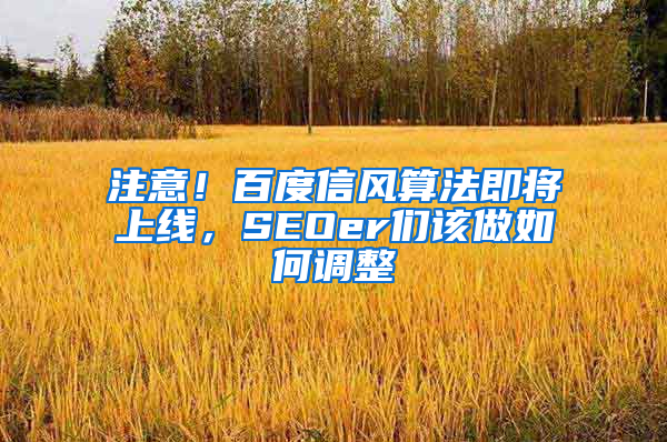 注意！百度信风算法即将上线，SEOer们该做如何调整