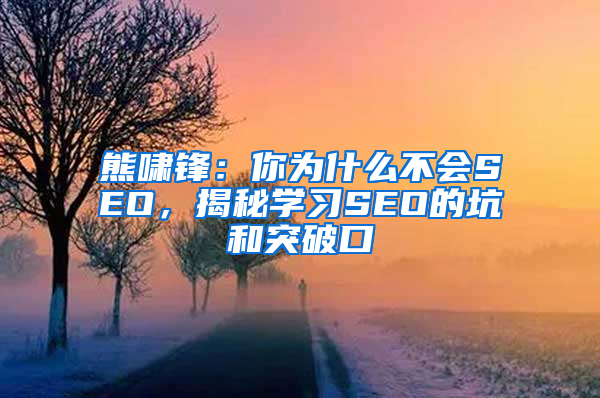 熊啸锋：你为什么不会SEO，揭秘学习SEO的坑和突破口